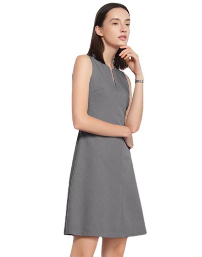 cshp-luxurious-feeling dress- 146(3)